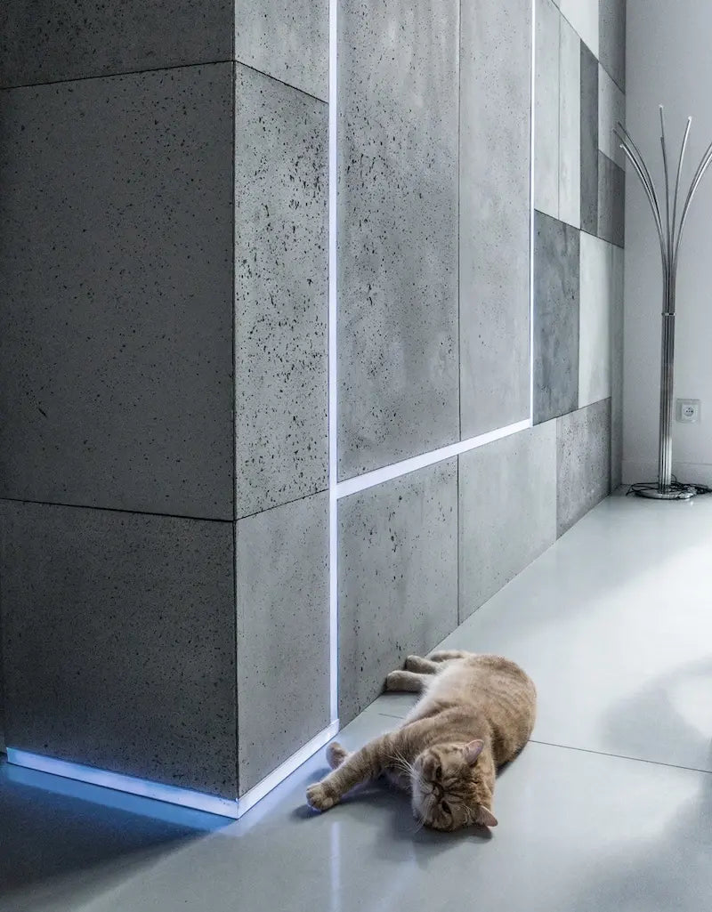 Concrete feature wall with LED lights and cat on the floor